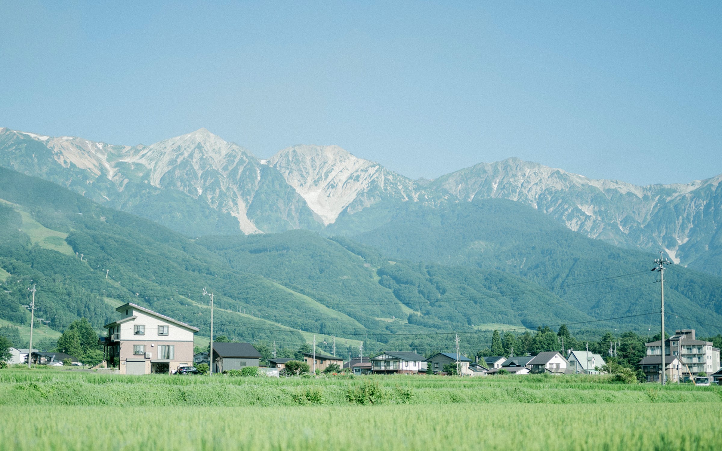 白馬三山の麓で農業をできる喜び